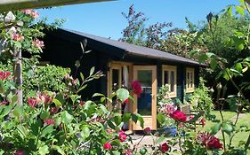 Pet Friendly - Hikers Paradise - South Facing