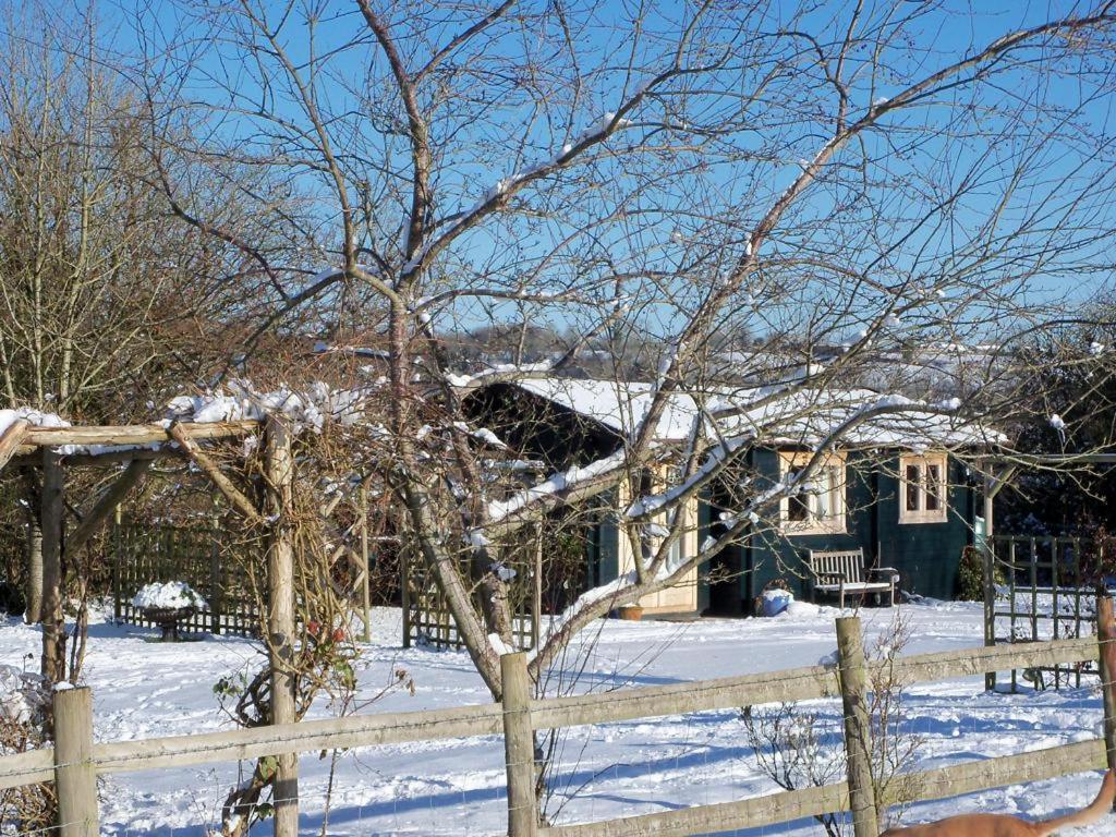Pet Friendly - Hikers Paradise - South Facing Wells Exterior photo